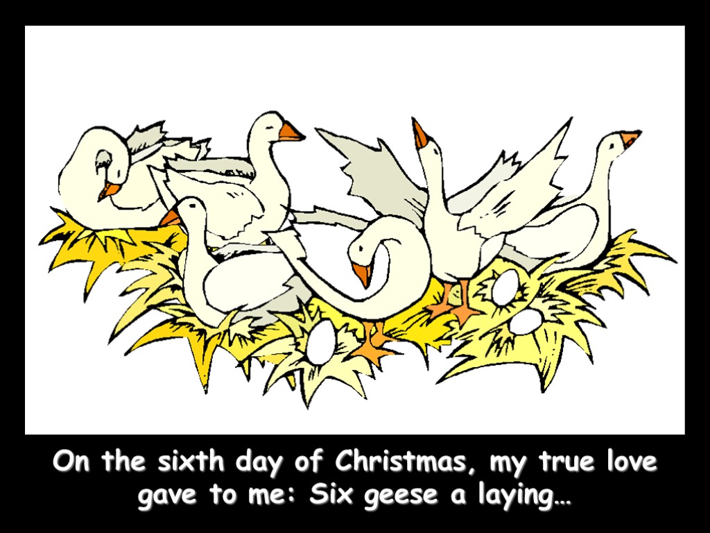 On the sixth day of Christmas, my true love gave to me: Six geese